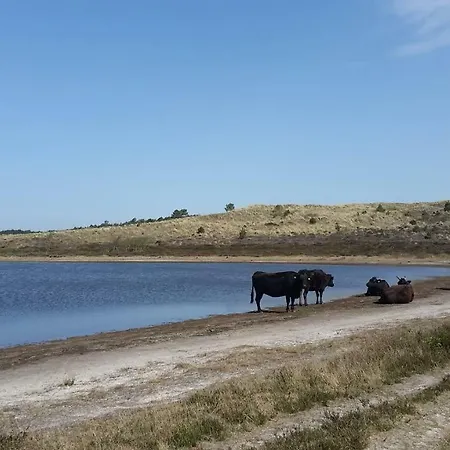別荘 Duin Bos En Zee