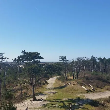 Vakantiehuis Duin Bos En Zee