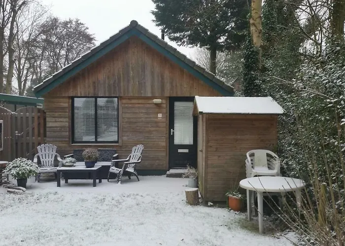 Duin Bos En Zee Ferienhaus Schoorl