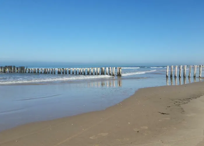 Duin Bos En Zee * Schoorl
