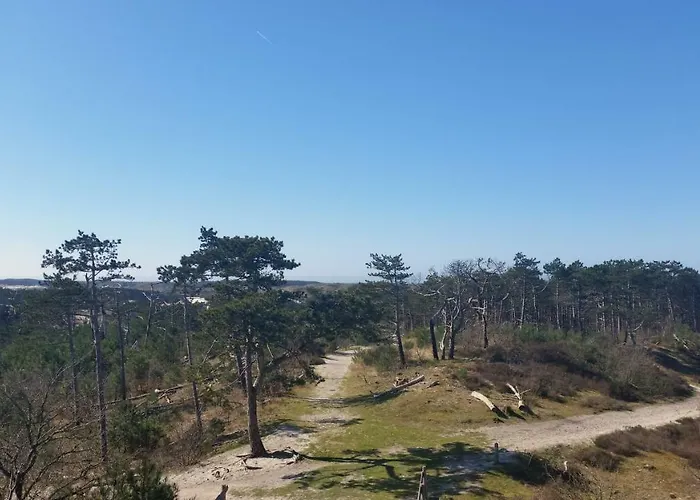 Ferienhaus Duin Bos En Zee